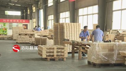 新袁镇:严格对照标准做好木材加工和家具制造产业转型升级