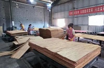 山东菏泽牡丹区政协主席葛广亮调研木材加工发展情况